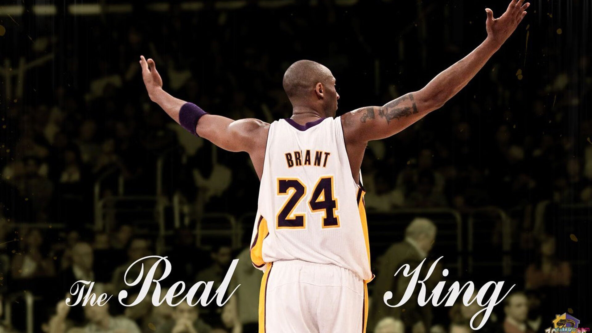 新兴运动热潮席卷全球,传统体育之外的活力与创新