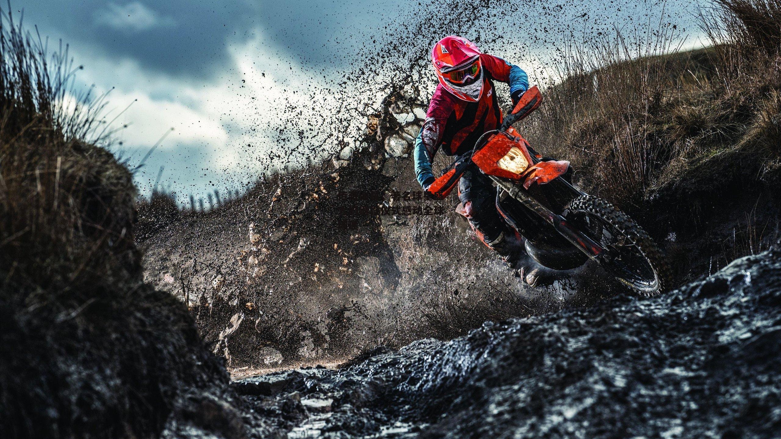 B体育平台：传奇谢幕，著名球星盛大的退役仪式感动全球球迷